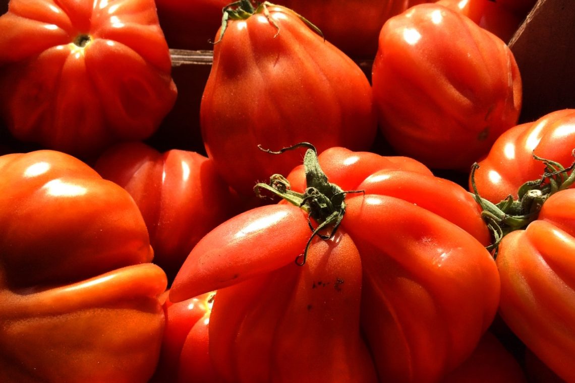 Koude tomatensoep