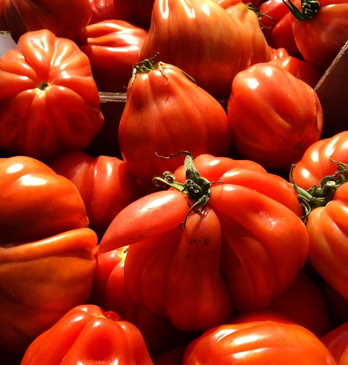 Koude tomatensoep
