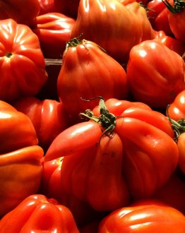 Koude tomatensoep