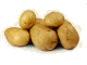 Aardappel