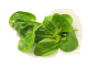 Bladspinazie
