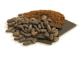 Cacao