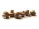 Champignons