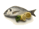 Dorade