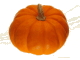 Pompoen