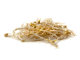 Tauge