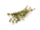 Tijm