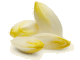 Witlof