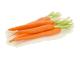 Wortel