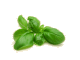 Recepten met basilicum