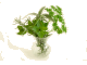 bouquet garni bouquet garni