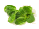 spinazie